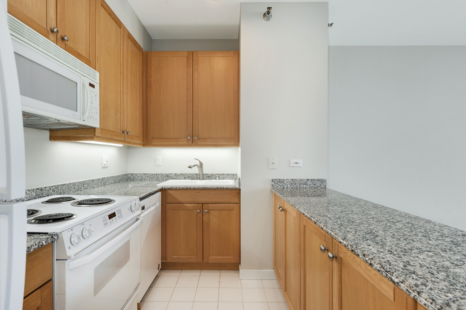 501 N Clinton Street Unit: 1601