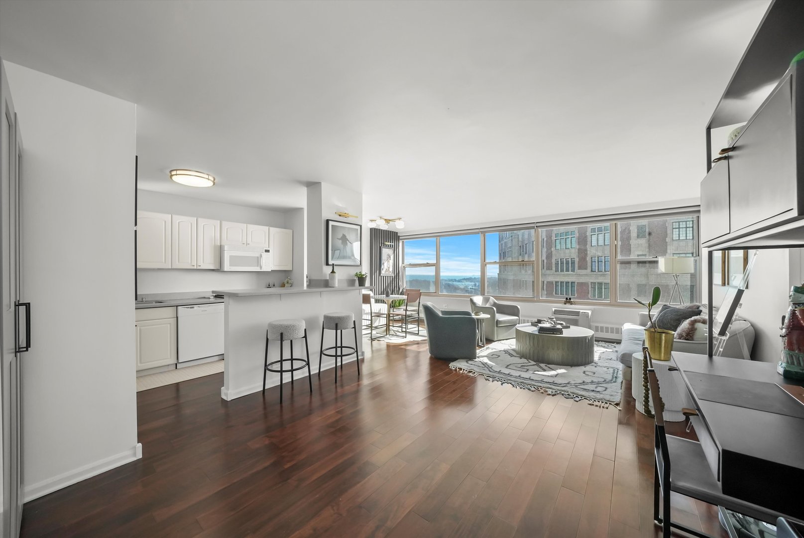 3900 N Lake Shore Drive Unit: 16D