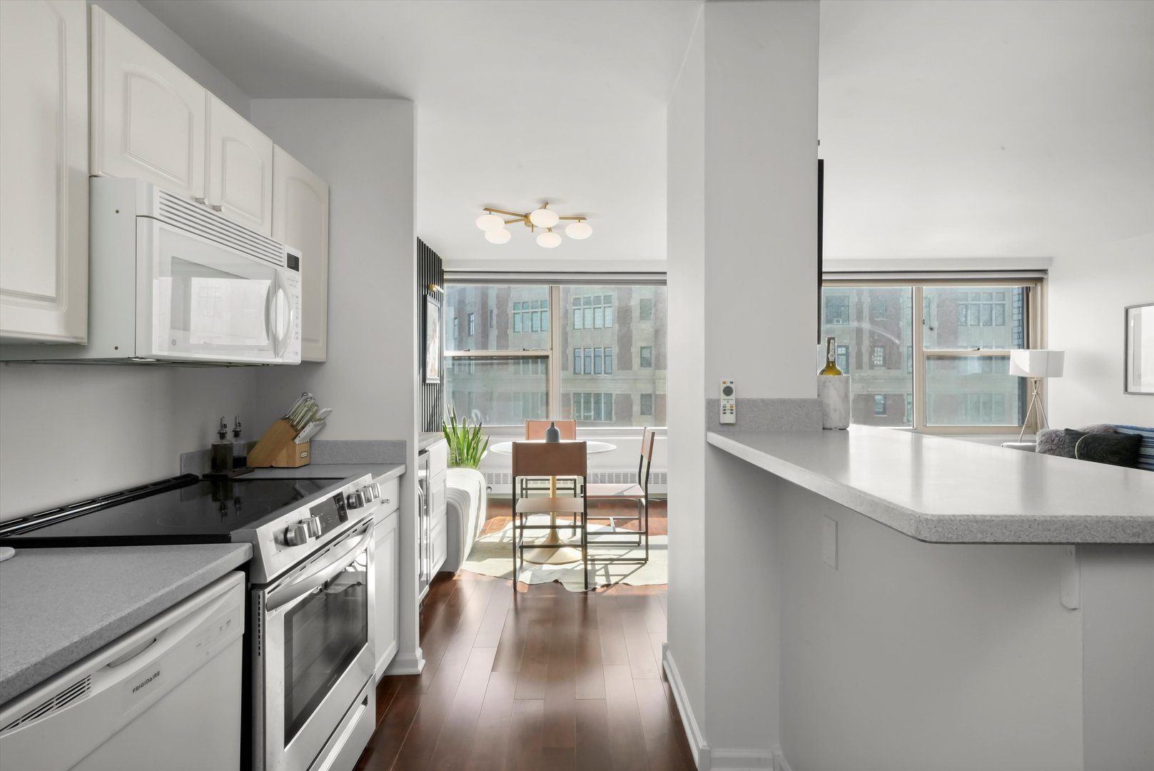 3900 N Lake Shore Drive Unit: 16D