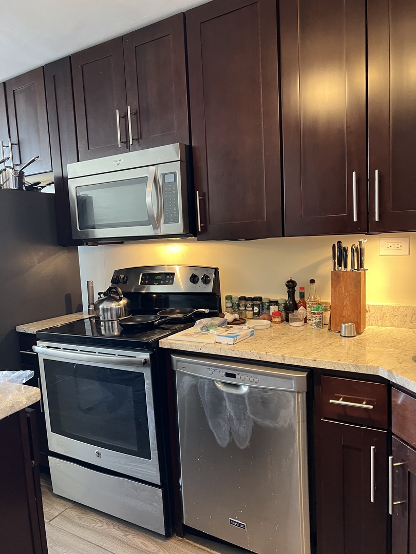 1355 N SANDBURG Terrace Unit: 1605