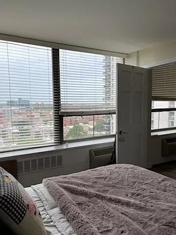 1355 N SANDBURG Terrace Unit: 1605