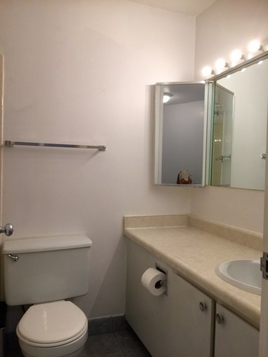 405 N Wabash Avenue Unit: 1805