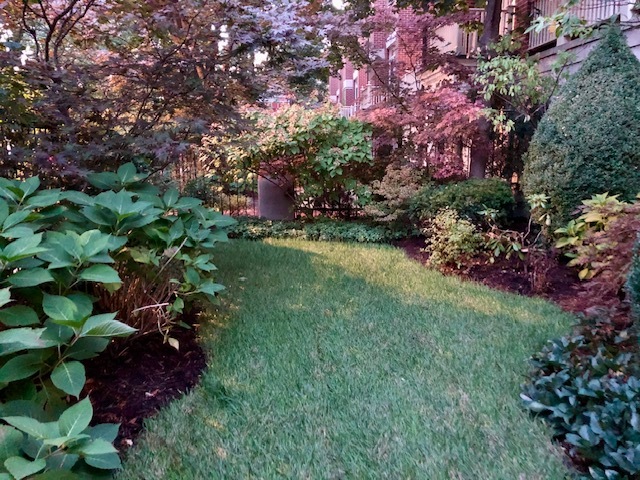 1440 W WRIGHTWOOD Avenue