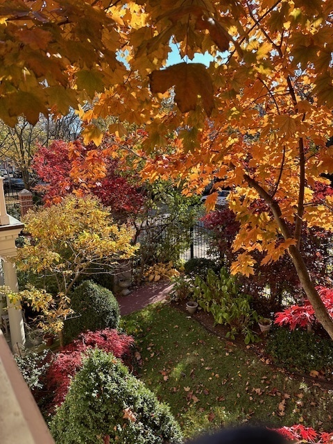 1440 W WRIGHTWOOD Avenue