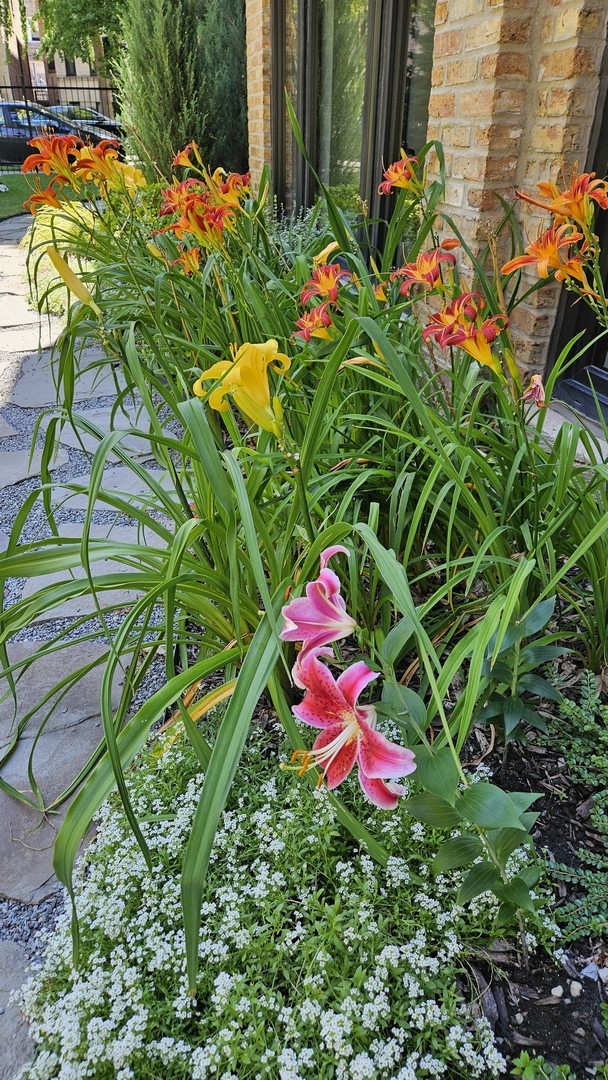 1436 W Berwyn Avenue