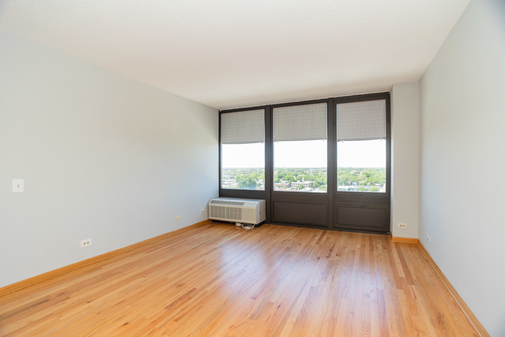 5320 N Sheridan Road Unit: 1302