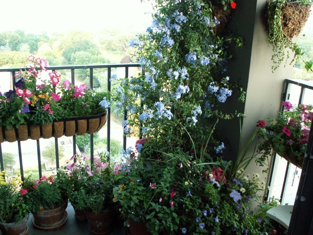 5320 N Sheridan Road Unit: 1302