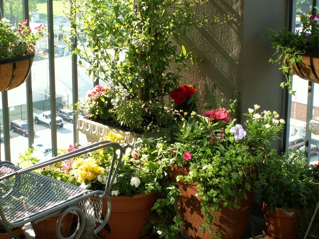 5320 N Sheridan Road Unit: 1302