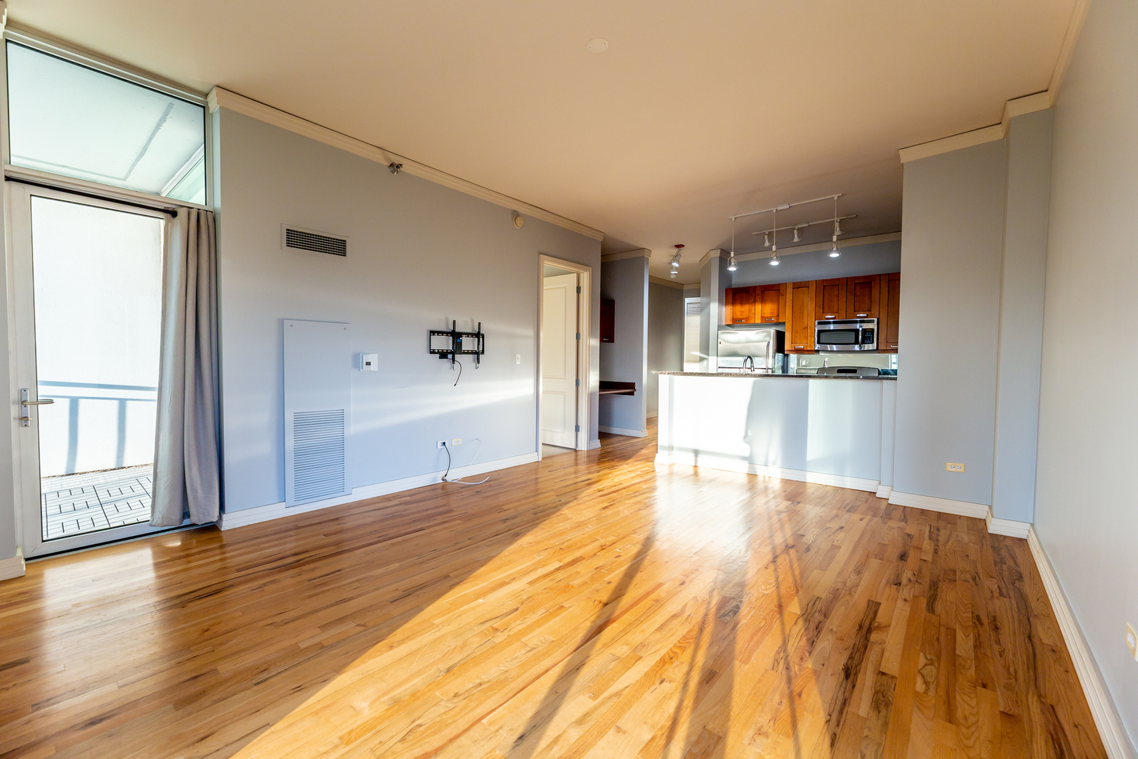 170 W Polk Street Unit: 903