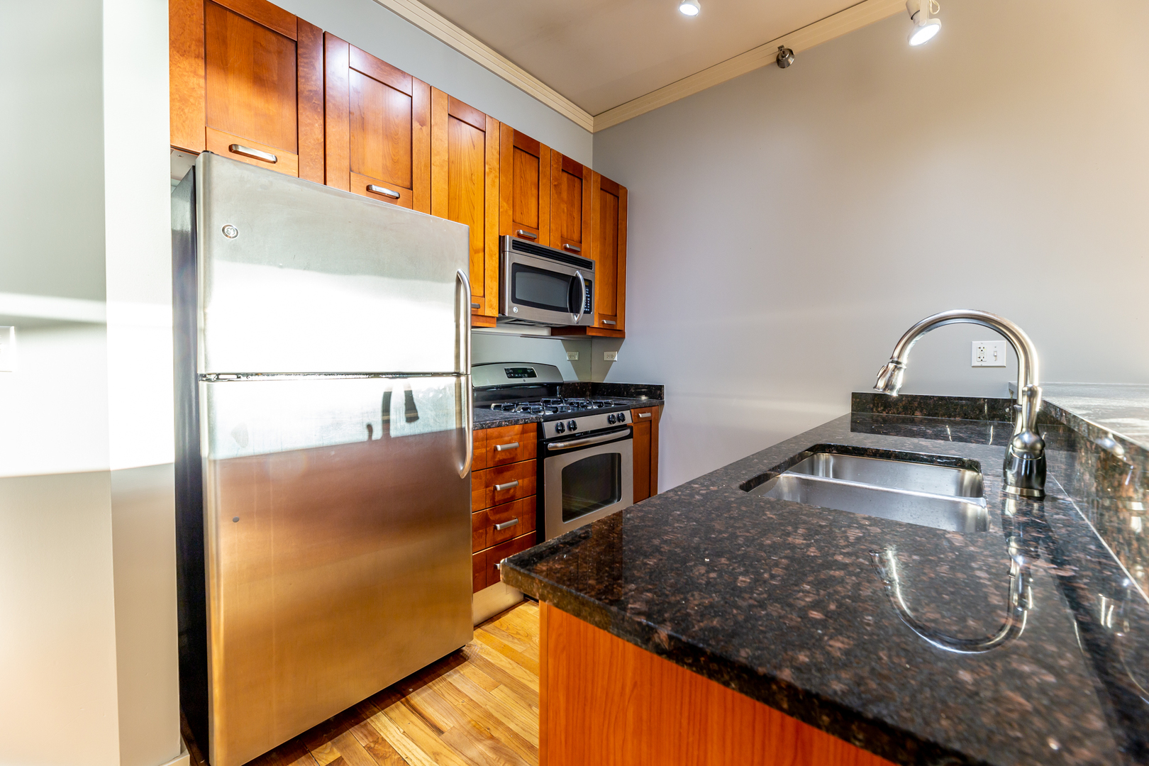 170 W Polk Street Unit: 903