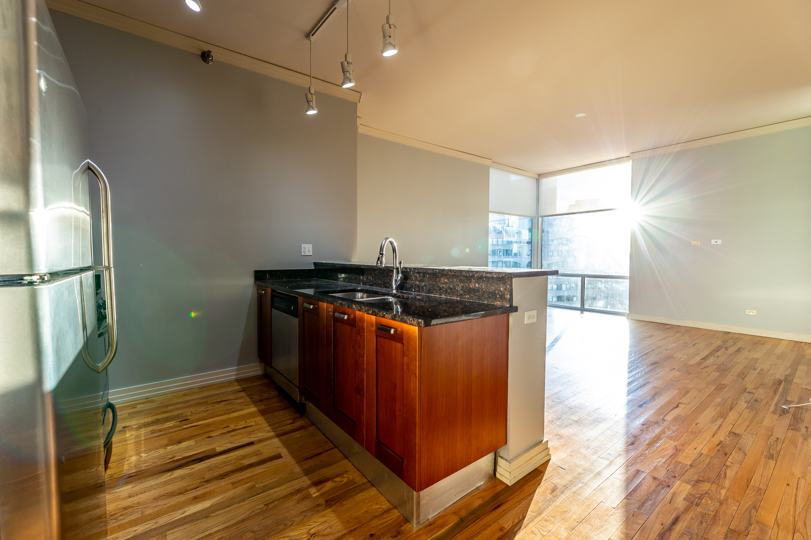 170 W Polk Street Unit: 903