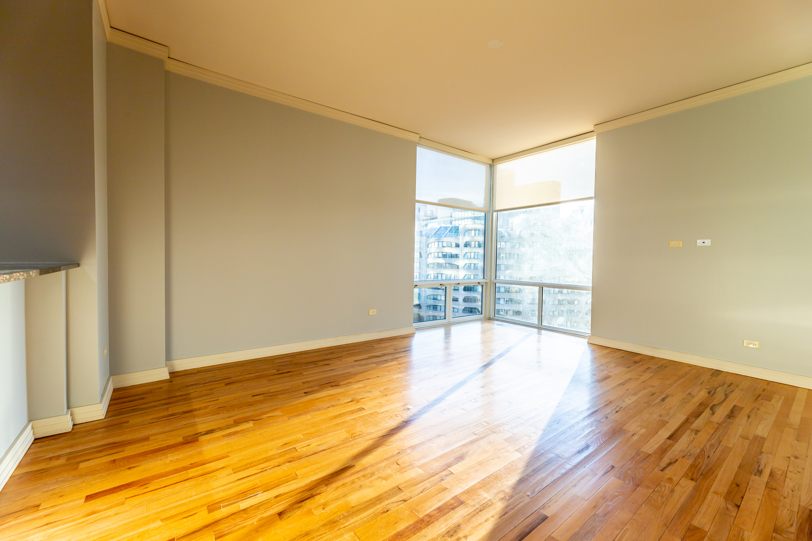 170 W Polk Street Unit: 903