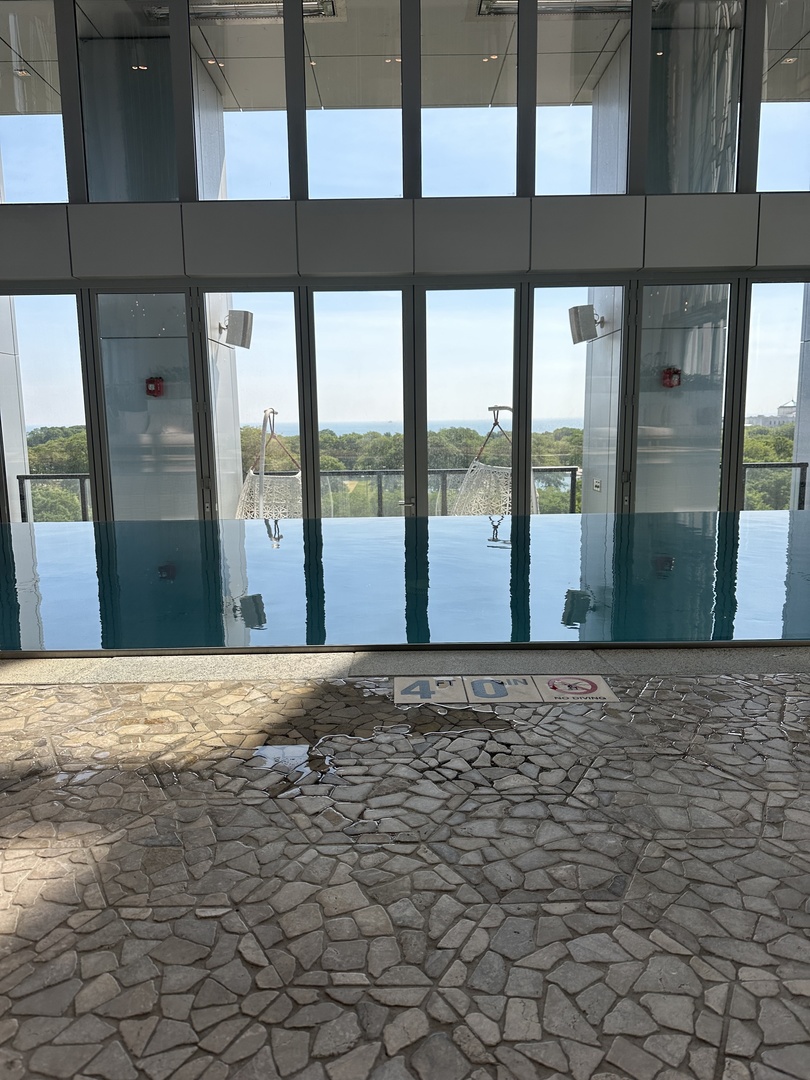 808 S Michigan Avenue Unit: 3901