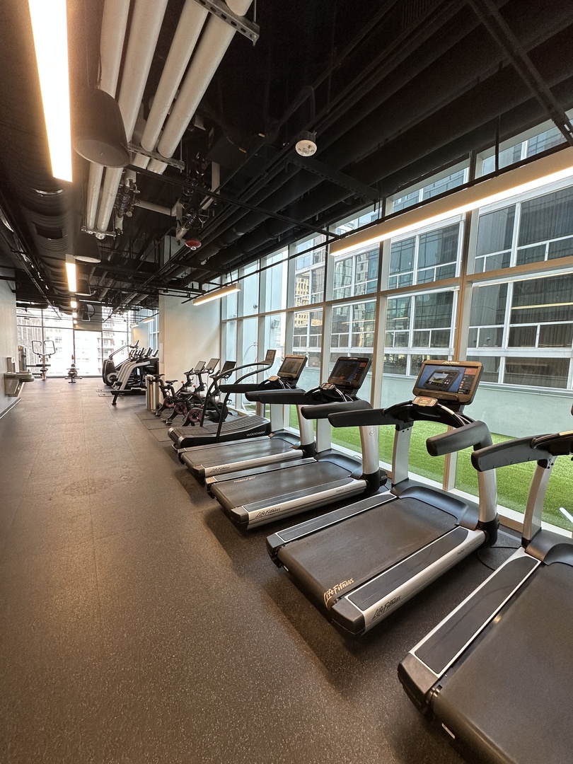 808 S Michigan Avenue Unit: 3901