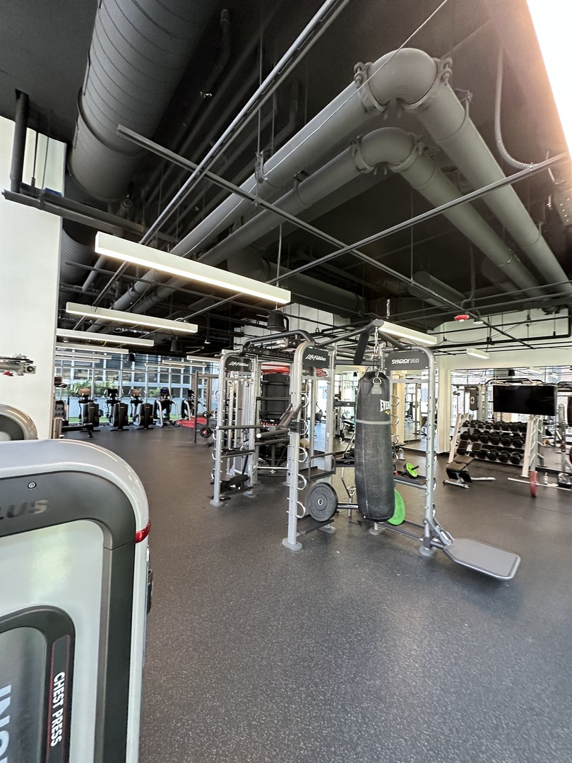 808 S Michigan Avenue Unit: 3901