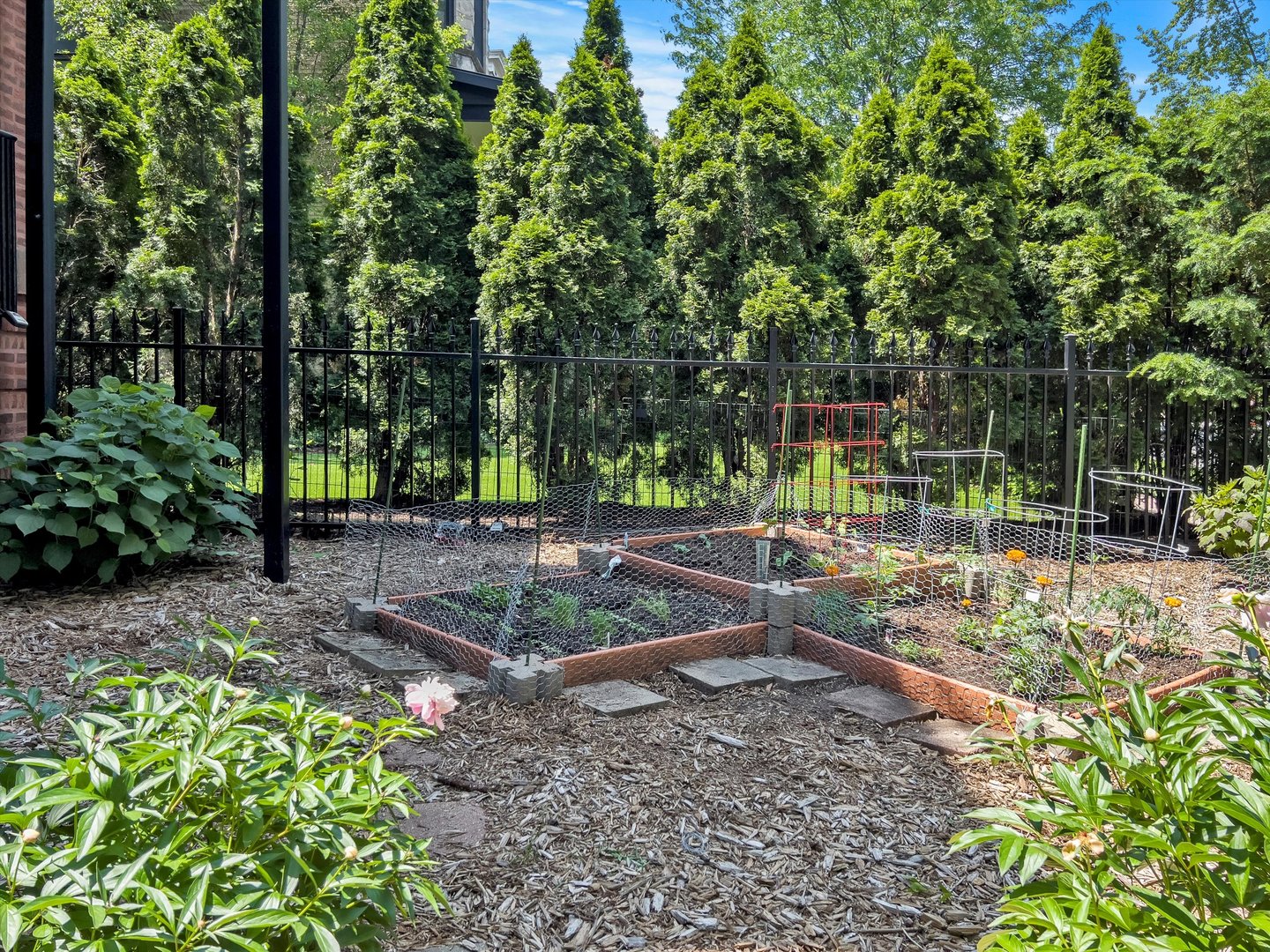 1437 W ADDISON Street Unit: 3