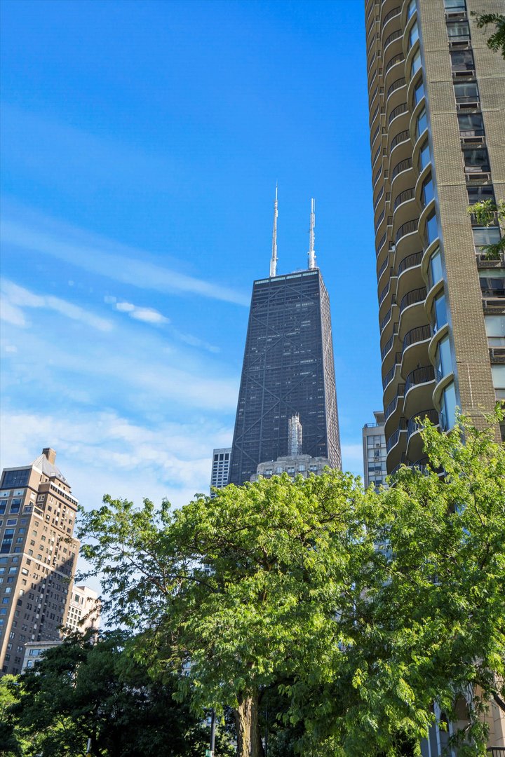 1110 N Lake Shore Drive Unit: 5N