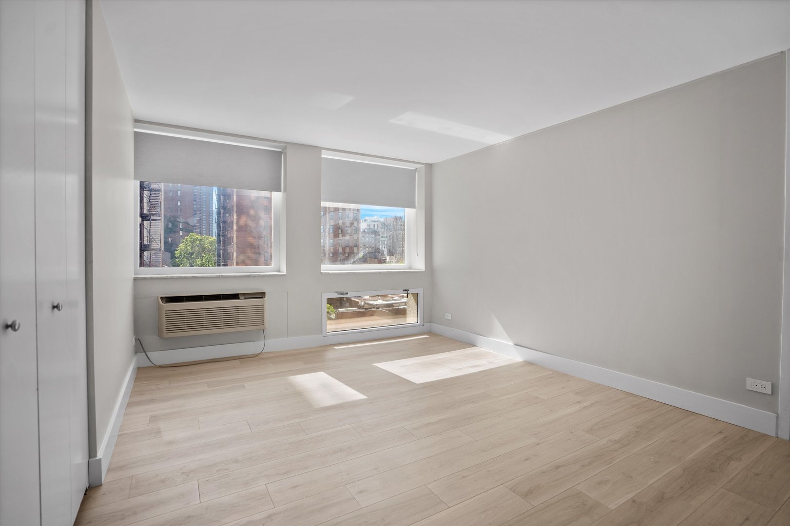 1110 N Lake Shore Drive Unit: 5N