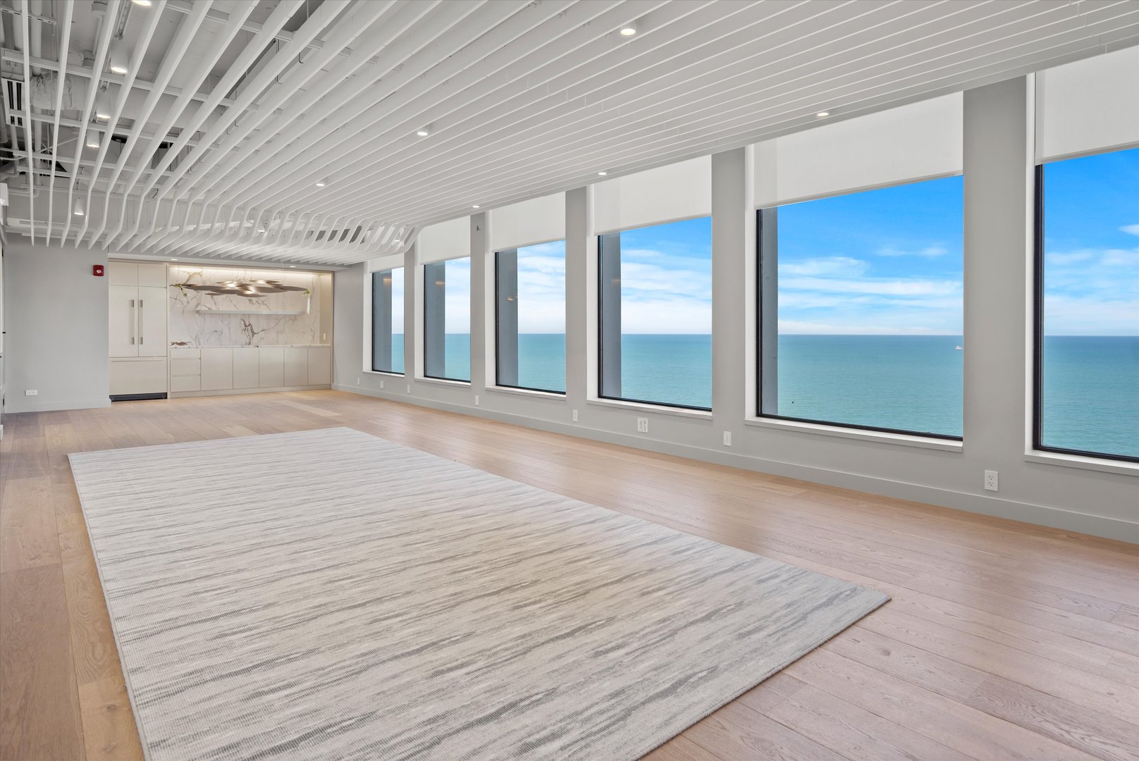 1110 N Lake Shore Drive Unit: 5N