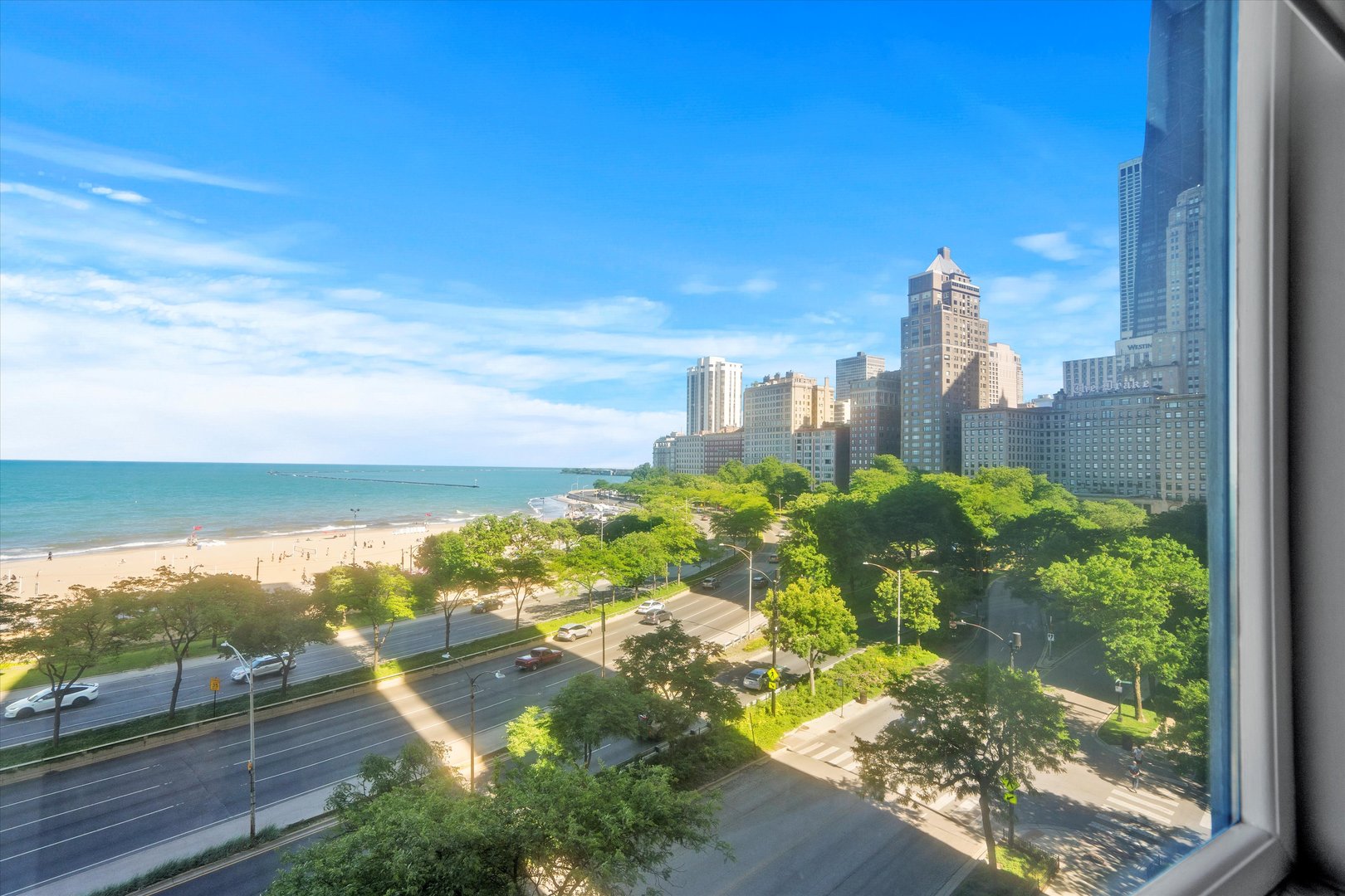 1110 N Lake Shore Drive Unit: 5N