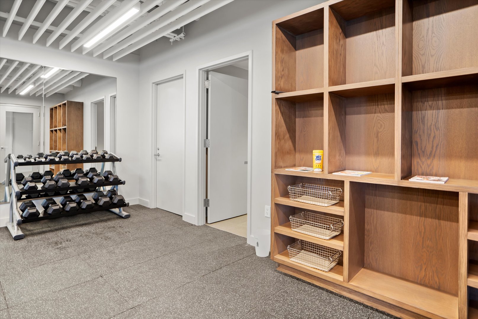 1110 N Lake Shore Drive Unit: 5N