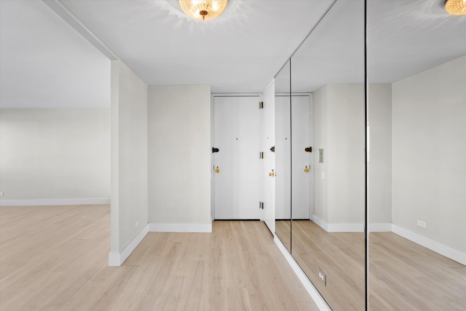 1110 N Lake Shore Drive Unit: 5N