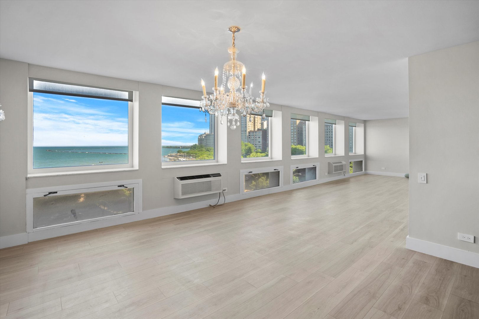 1110 N Lake Shore Drive Unit: 5N
