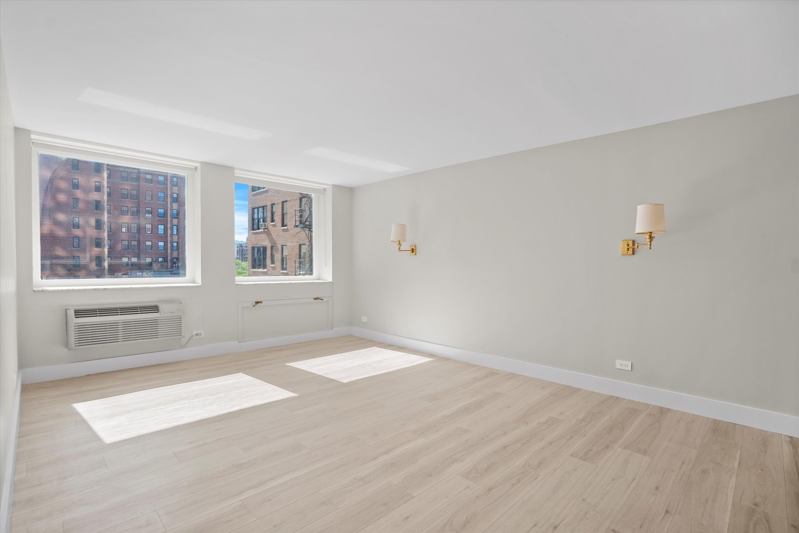 1110 N Lake Shore Drive Unit: 5N