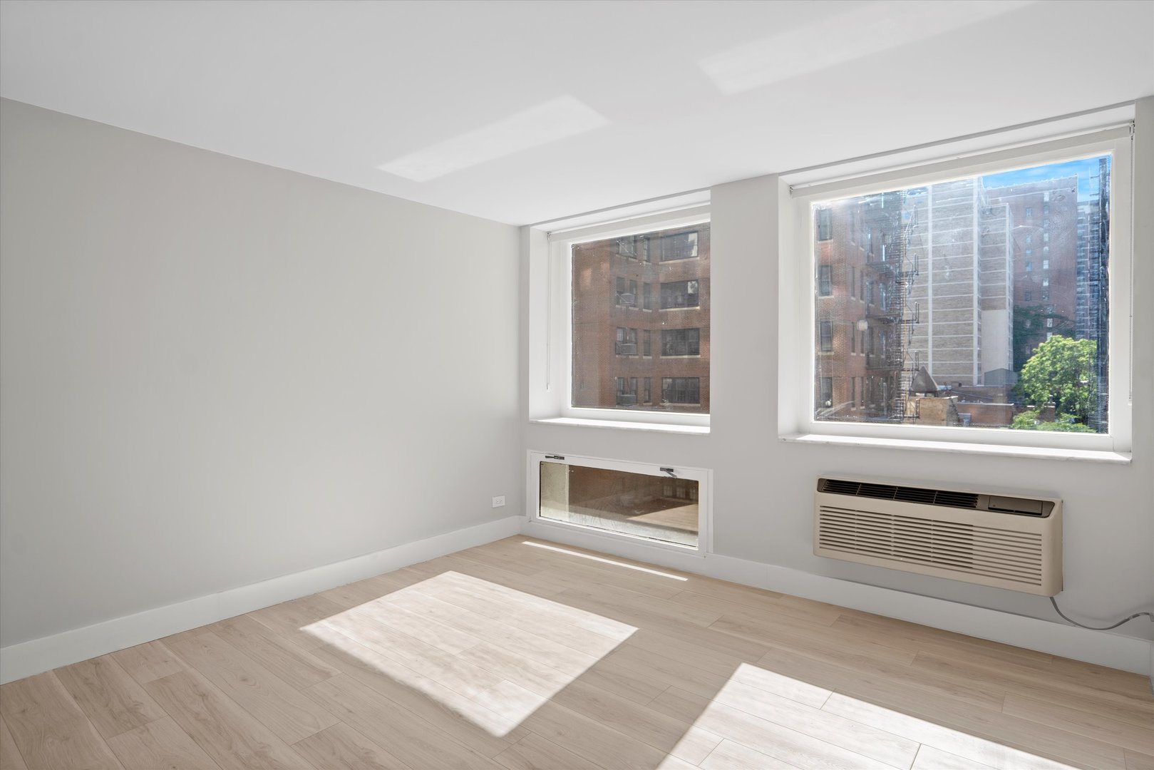 1110 N Lake Shore Drive Unit: 5N