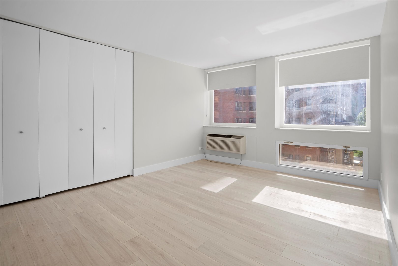 1110 N Lake Shore Drive Unit: 5N