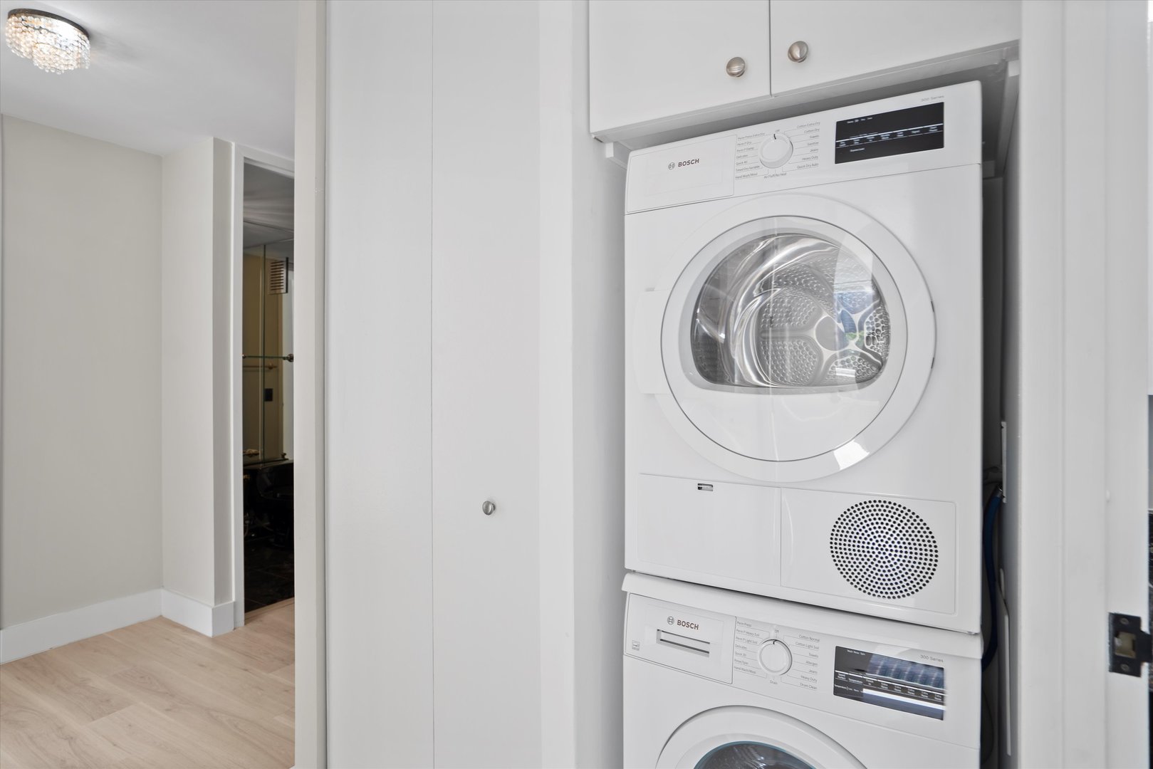 1110 N Lake Shore Drive Unit: 5N