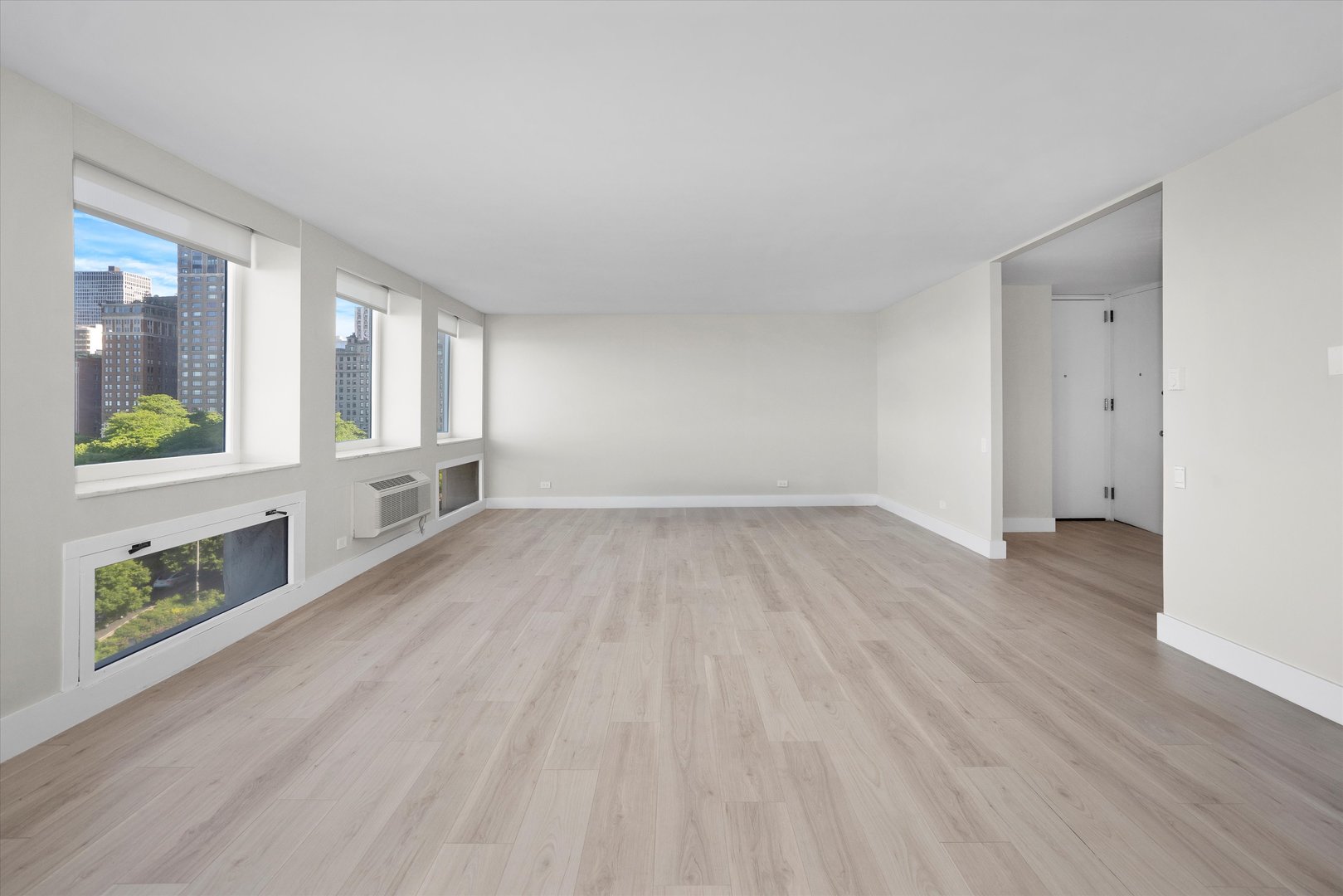 1110 N Lake Shore Drive Unit: 5N