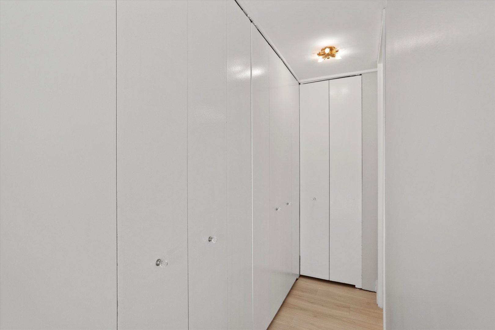 1110 N Lake Shore Drive Unit: 5N