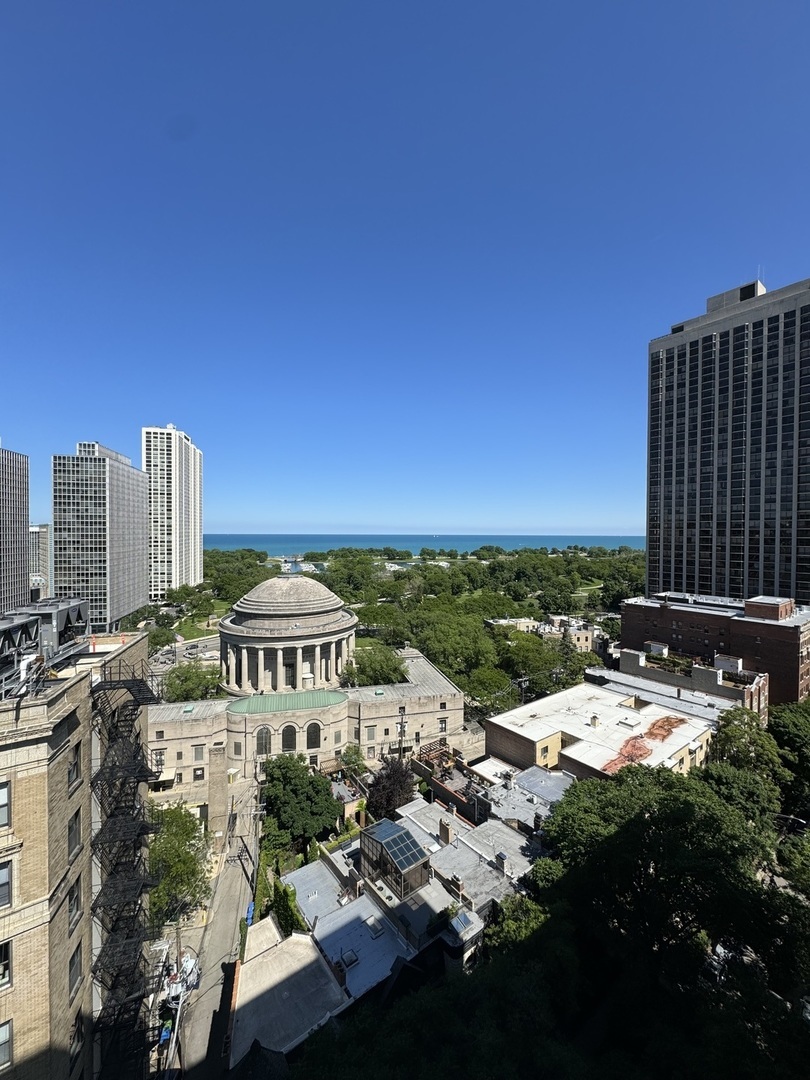2740 N Pine Grove Avenue Unit: 17A
