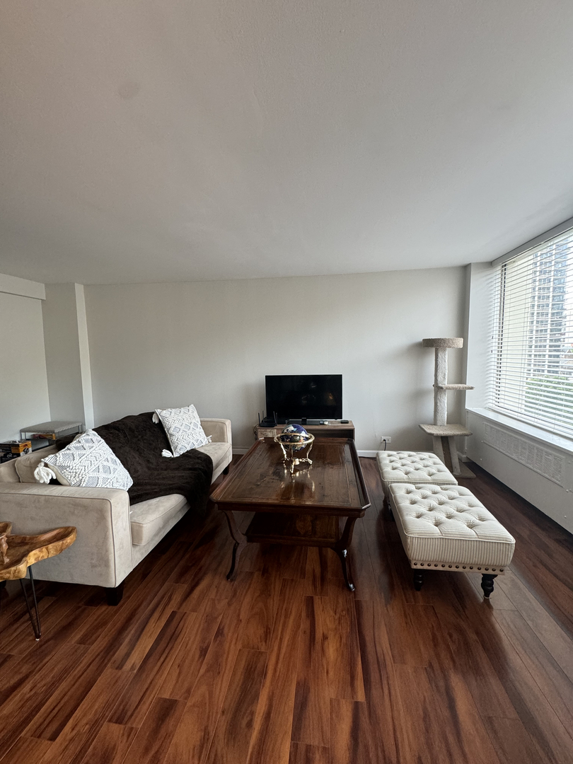 1355 N Sandburg Terrace Unit: 704