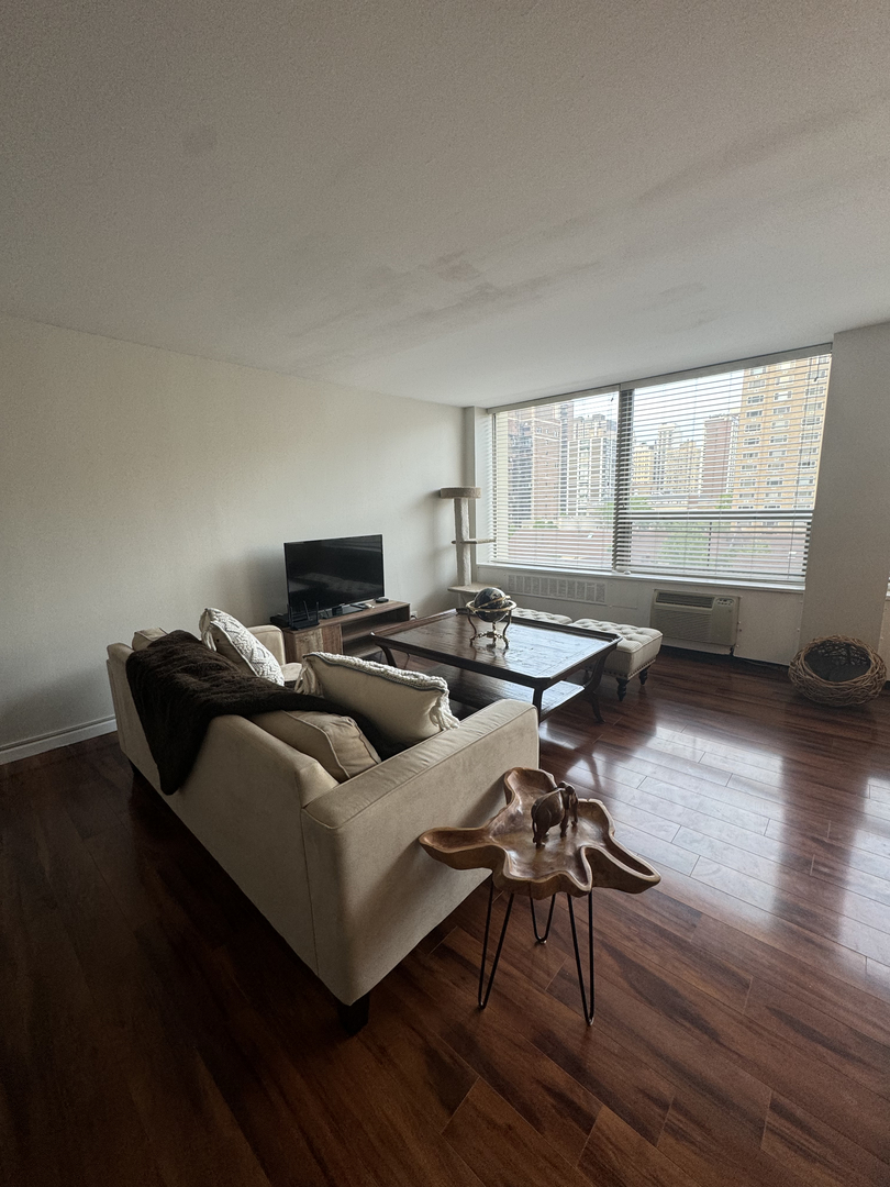 1355 N Sandburg Terrace Unit: 704