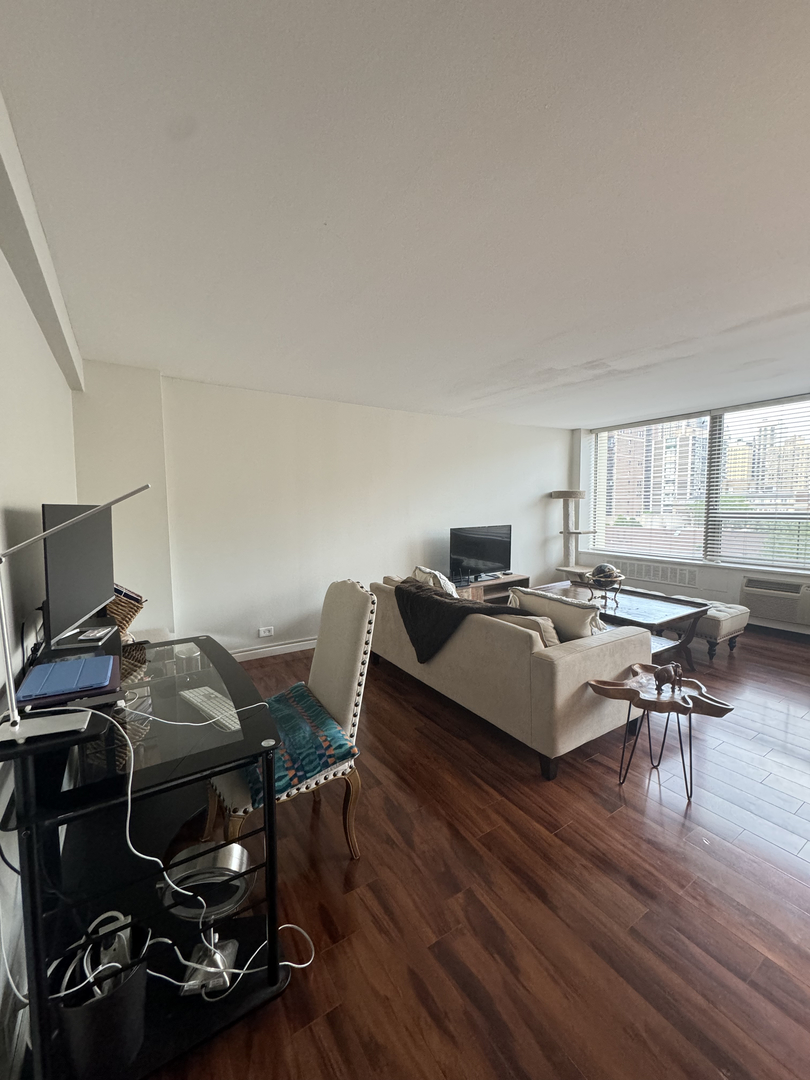 1355 N Sandburg Terrace Unit: 704