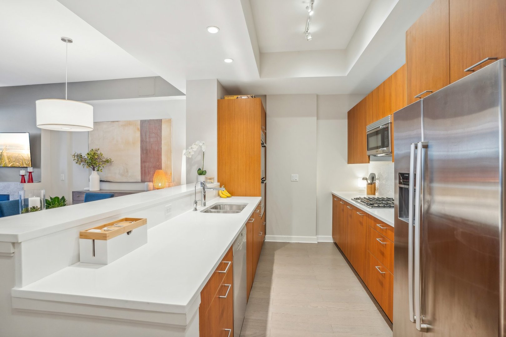 1913 S Calumet Avenue Unit: TH3