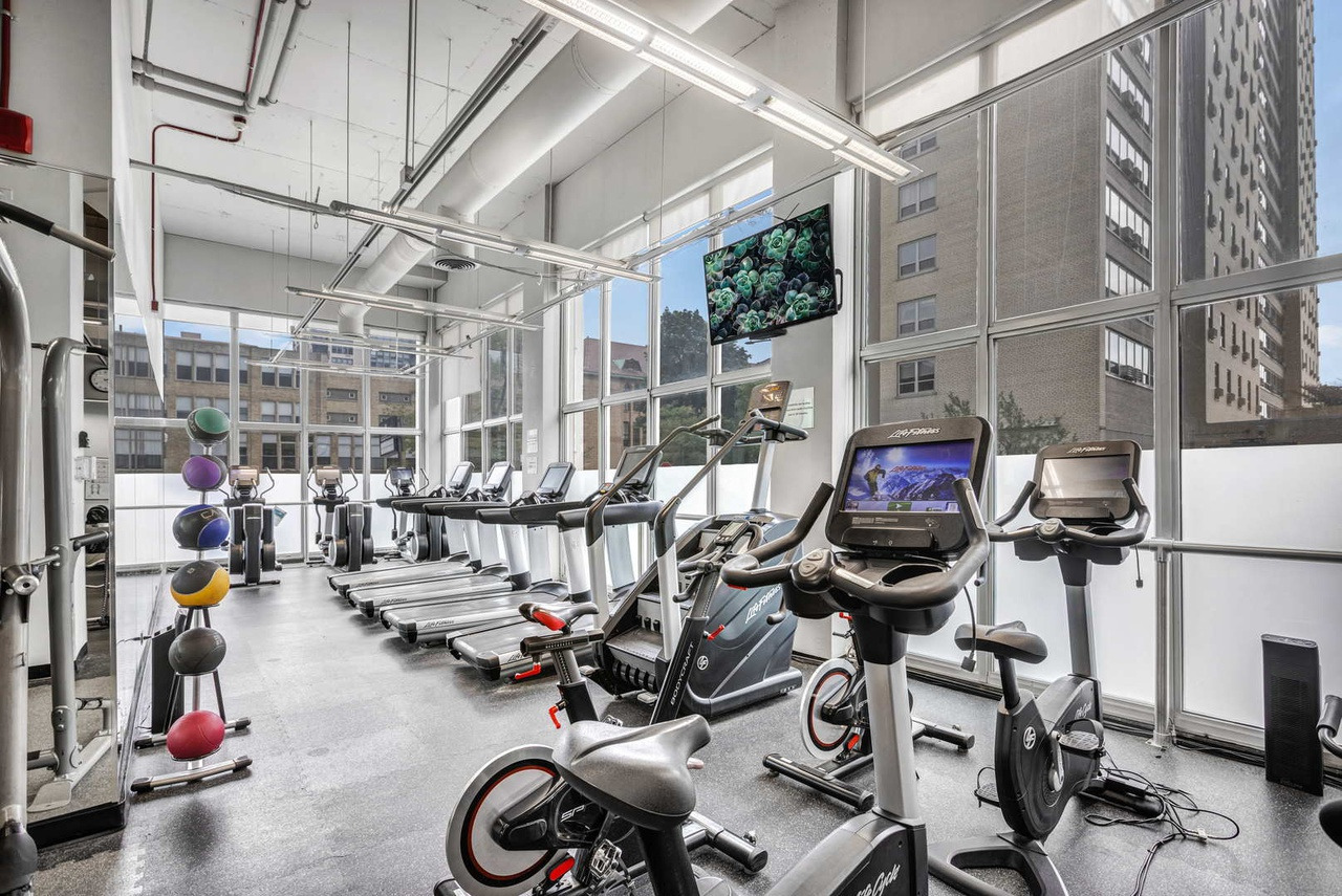 655 W Irving Park Road Unit: 5017