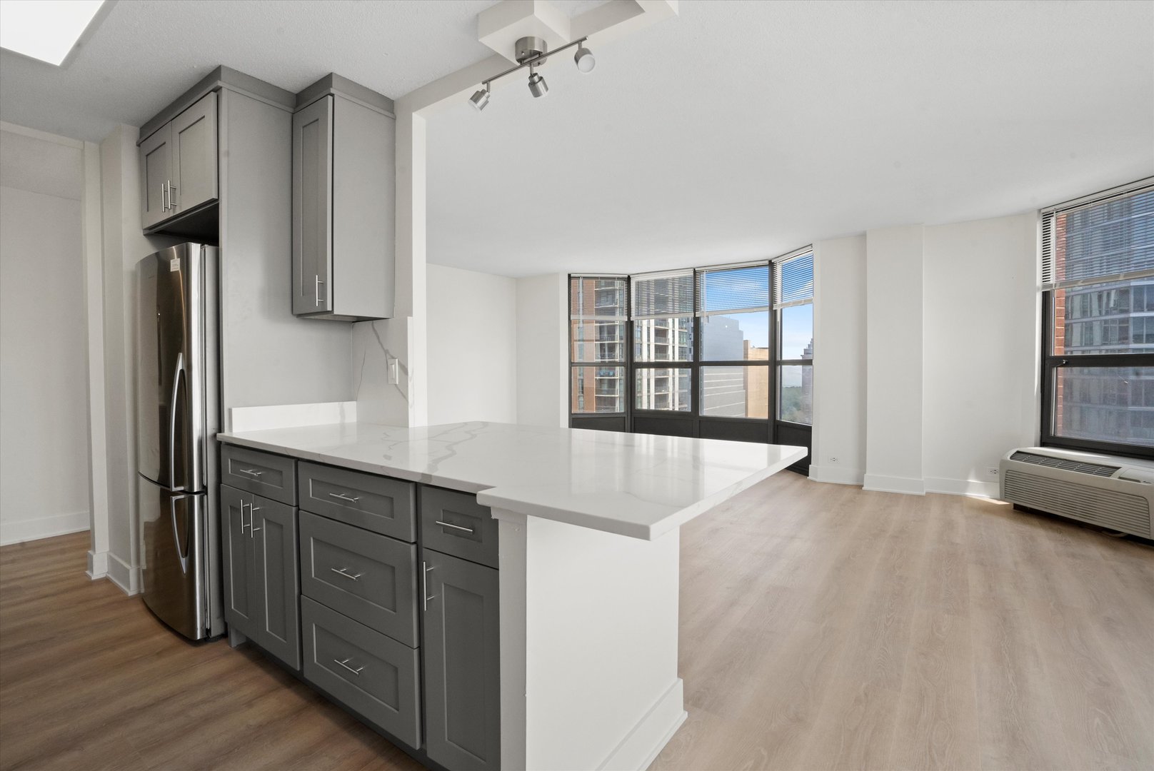 901 S Plymouth Court Unit: 1402