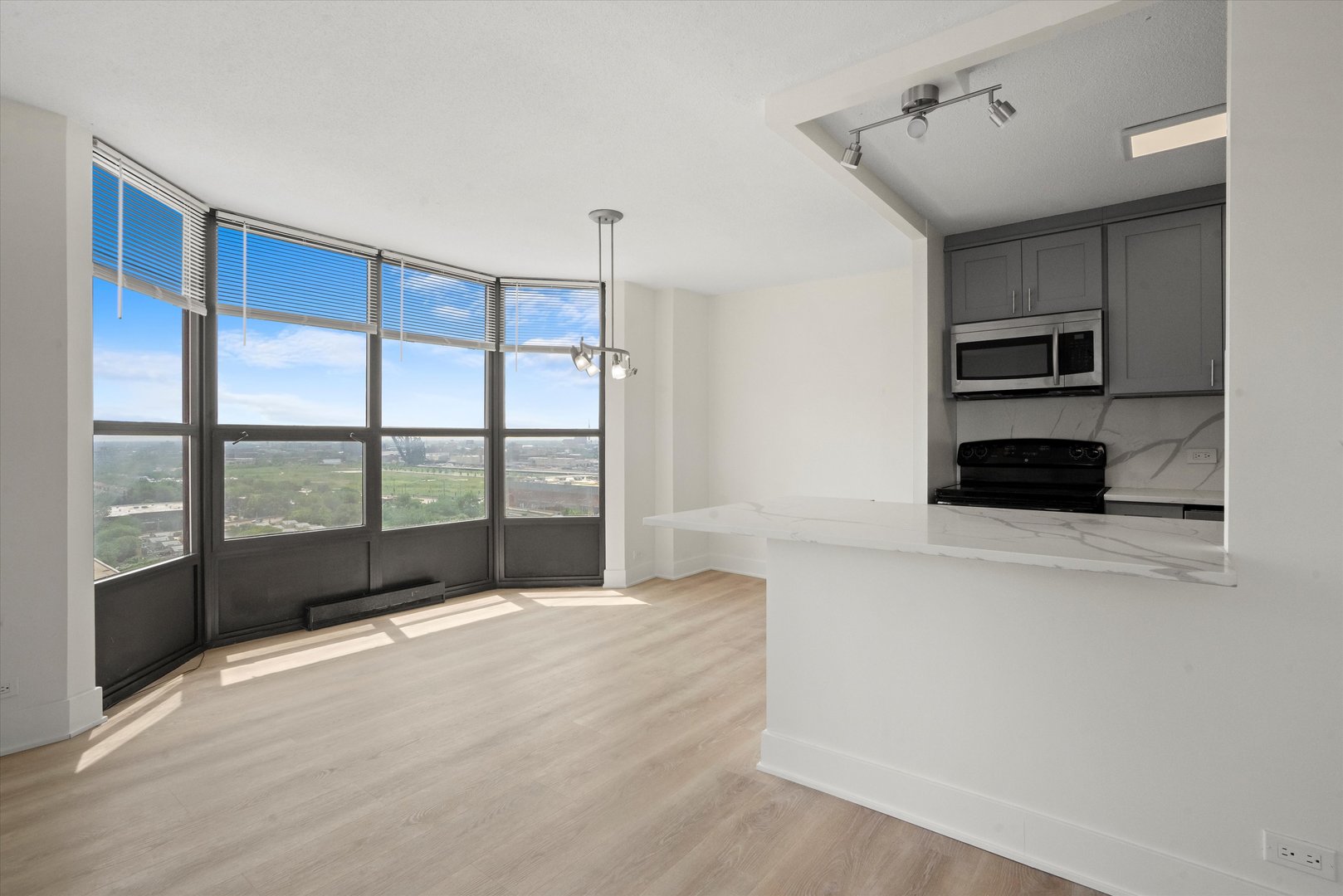 901 S Plymouth Court Unit: 1402