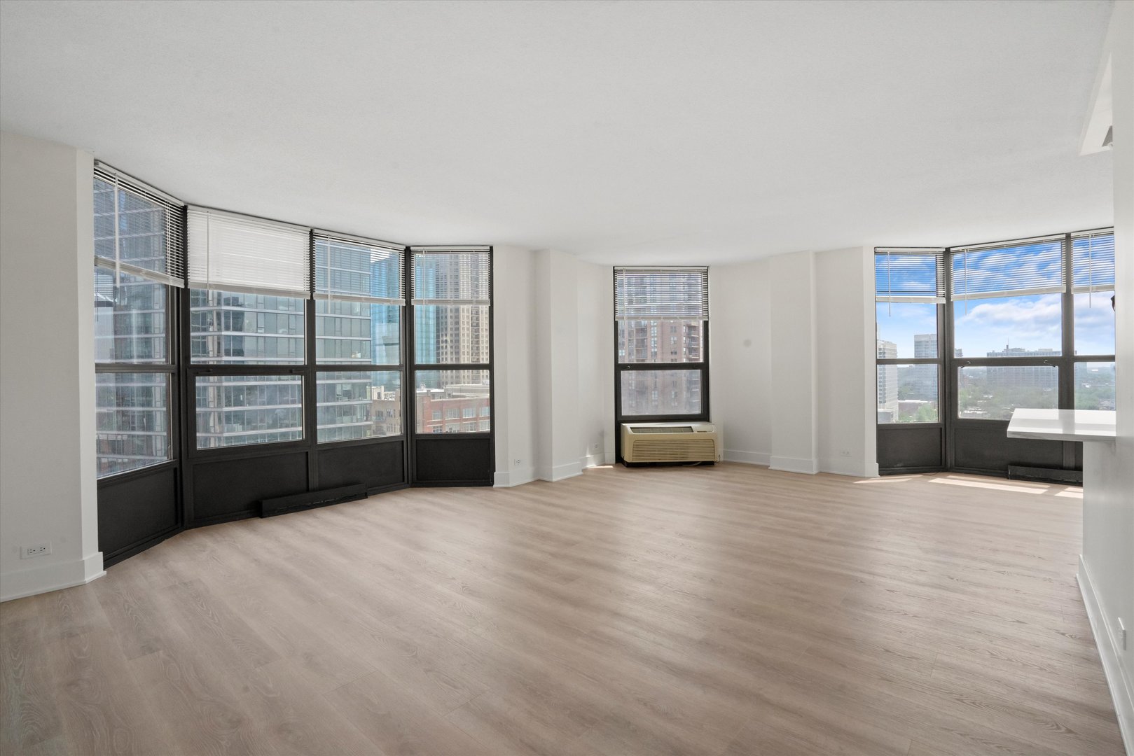 901 S Plymouth Court Unit: 1402