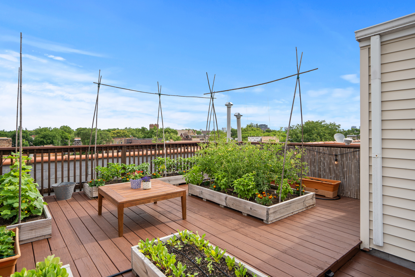 2118 W RICE Street Unit: 4