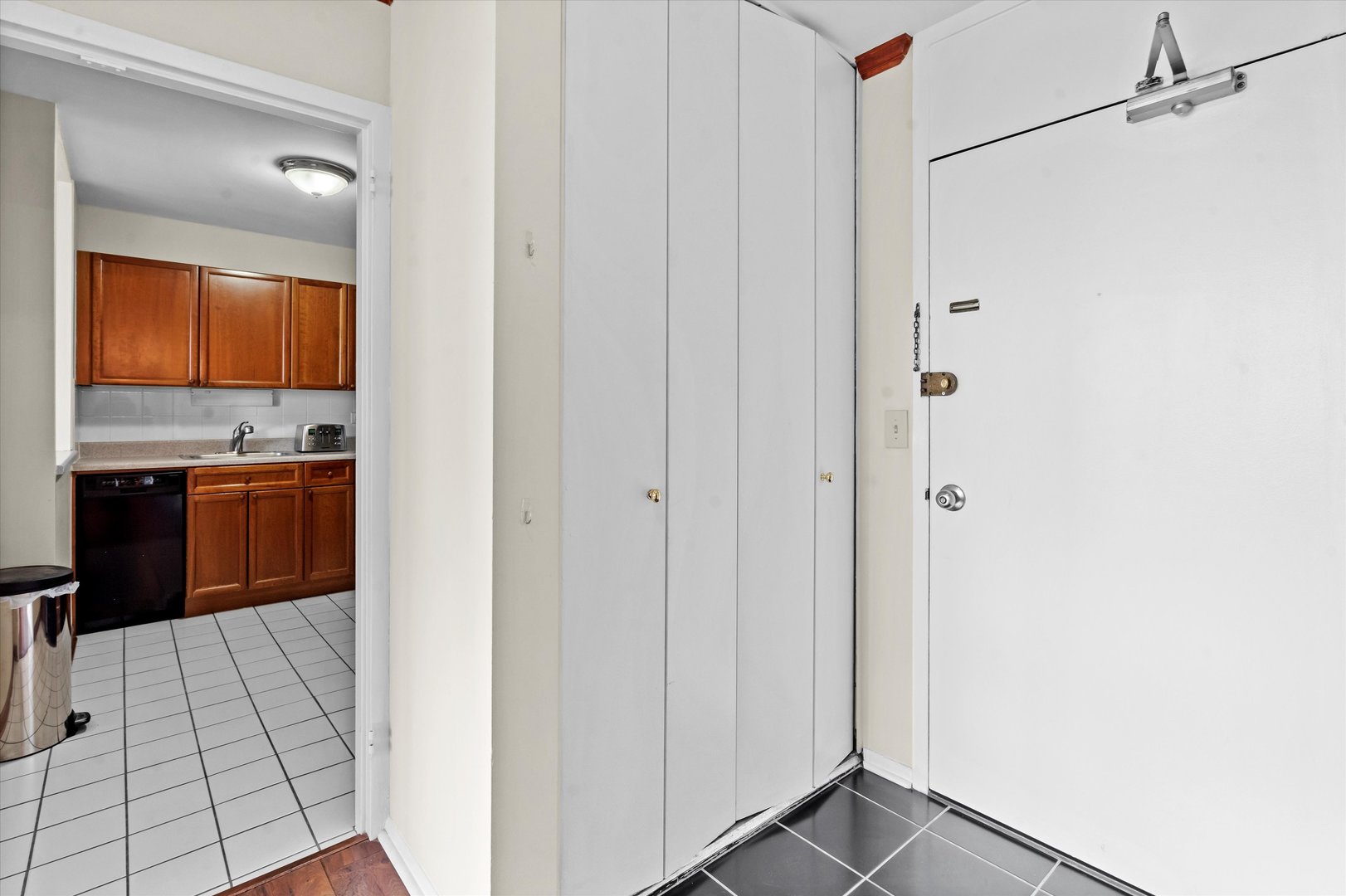 1255 N Sandburg Terrace Unit: 509