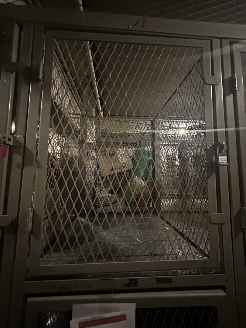 420 W Aldine Avenue Unit: 327