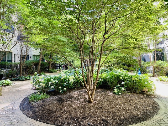 1250 S Indiana Avenue Unit: 905