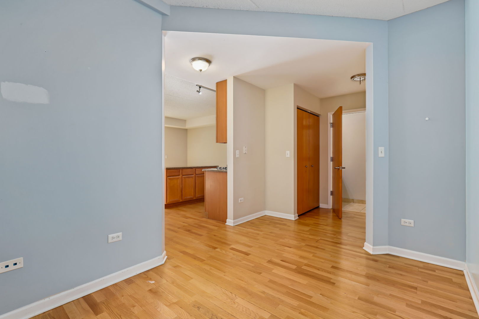 1250 S Indiana Avenue Unit: 905