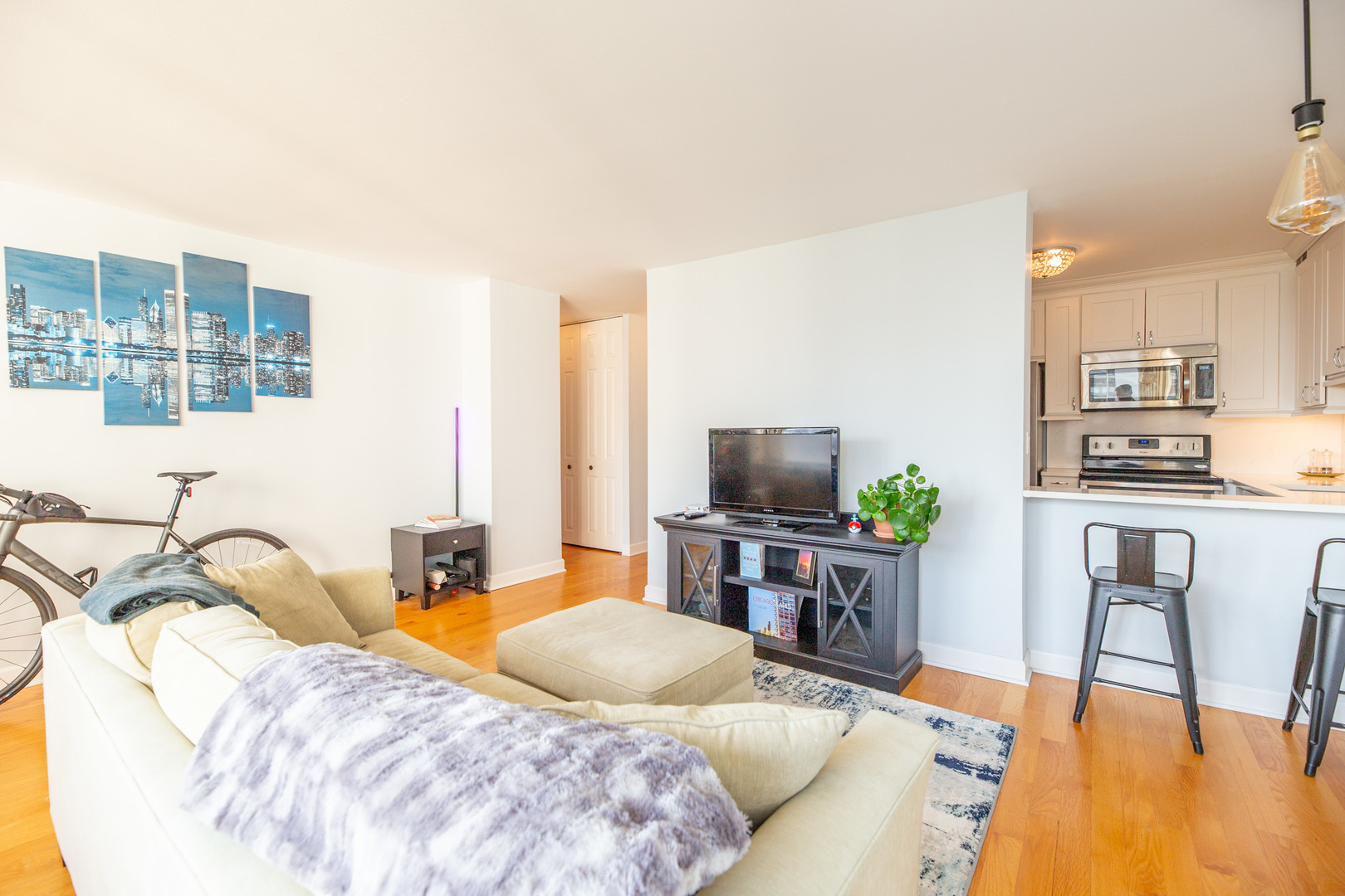 1460 N Sandburg Terrace Unit: 1503A