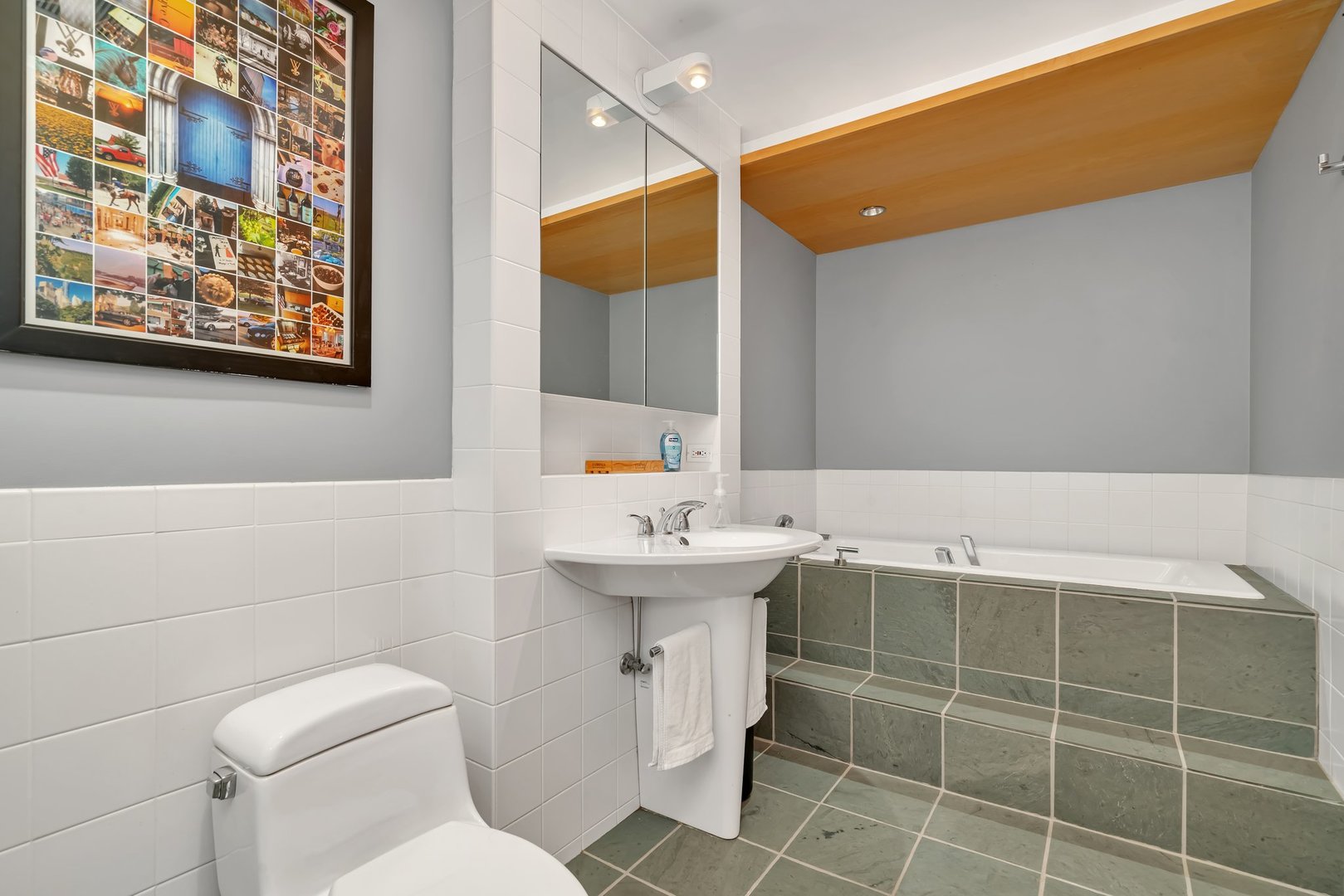 680 N Lake Shore Drive Unit: 207