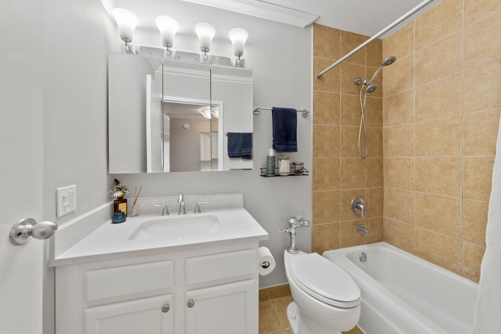 525 W Hawthorne Place Unit: 407